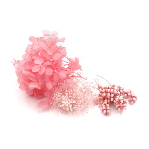 yP10{ z vU[uht[ ԍ o FMt[A\[g 3A\[g Xgx[   hCt[ sN ԍ f ޗ p[c AWTC JX~ ԑ 