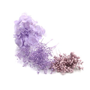 yP10{ z vU[uht[ ԍ o FMt[A\[g 3A\[g CbN   hCt[  p[v ԍ f ޗ p[c AWTC JX~ 