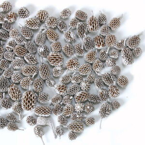 hCt[ ԍ o JXiR[ 80g Xm[ ؂̎ t[c ʎ ibc hC Rf hCt[ i`hCt[ CeA v vU