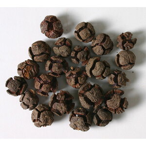 hCt[ ԍ o NvXR[ 70g i` ؂̎ t[c ʎ ibc hC Rf hCt[ i`hCt[ CeA v