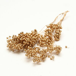 hCt[ ԍ o ybp[x[ S[h ԍ f ޗ p[c F  W XbO u[P NX}X  ԑ [X  RAg[fBO