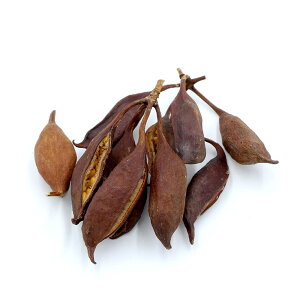 yP10{ z hCt[ ԍ o ub`[VgE~j i` ԍ f ޗ p[c  킢 XbO [X AW AWg  RAg[fBO