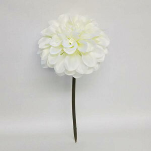 yP10{ 12/31܂ŁIz  Ƃ悹i WjAsbN N[ CeA CeAt[ tFCNt[ VNt[ CeAO[ tFCNO[ A[gt[ ԍ 