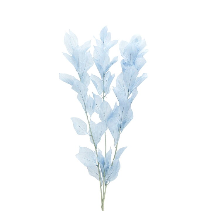 楽天市場】プリザーブドフラワー 花材 即日出荷 【40％OFF】期間限定 
