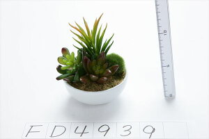 yP10{ z  O[ A Ƃ悹i ~jTbJ|bg() tFCNO[ [t CeA A 썑 gsJ GAvc TbJe T{e t