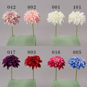 yP10{ z  Ƃ悹i _AsbN _A VO CeA CeAt[ tFCNt[ VNt[ CeAO[ tFCNO[ A[gt[ DIY