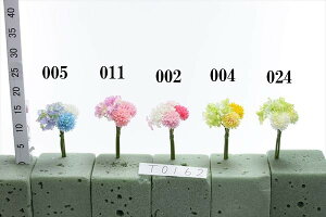 ポンポン 花の人気商品 通販 価格比較 価格 Com