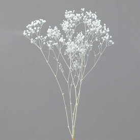 プリザーブドフラワー 花材 即日出荷 カスミ草・オーバータイム 白 花材 素材 材料 パーツ ドライフラワー かすみ カスミ カスミ草 かすみ草 プリザーブドフラワー スワッグ ブーケ 花束 ドライフラワースワッグ リース アレンジ アレンジメント 大地農園