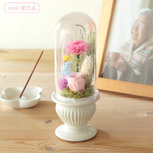  vU[uht[ o  KXh[ ~ ~     p d O ފ @ ̐l   uU[ht[ ̂