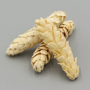 yP10{ 12/31܂ŁIz hCt[ ԍ o XgoXR[ TV ԍ f ޗ p[c  } ڂ Xg[upC 傫  zCg [X  RAg[fB