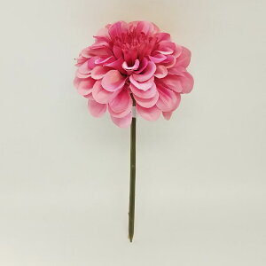 yP10{ 12/31܂ŁIz  Ƃ悹i WjAsbN sN CeA CeAt[ tFCNt[ VNt[ CeAO[ tFCNO[ A[gt[ ԍ DIY