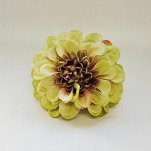 yP10{ 12/31܂ŁIz  Ƃ悹i WjAsbN sNO[ CeA CeAt[ tFCNt[ VNt[ CeAO[ tFCNO[ A[gt