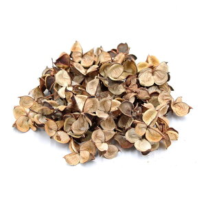 yP10{ z hCt[ ԍ o ^J i` ԍ f ޗ p[c   Rbg 킢 XbO [X AW AWg i`   n_