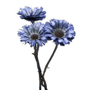 yP10{ z hCt[ ԍ o yXE[b^ Rogu[  ԍ f p[c Cht[ uC_ XbO [X u[P ԑ AWg n_