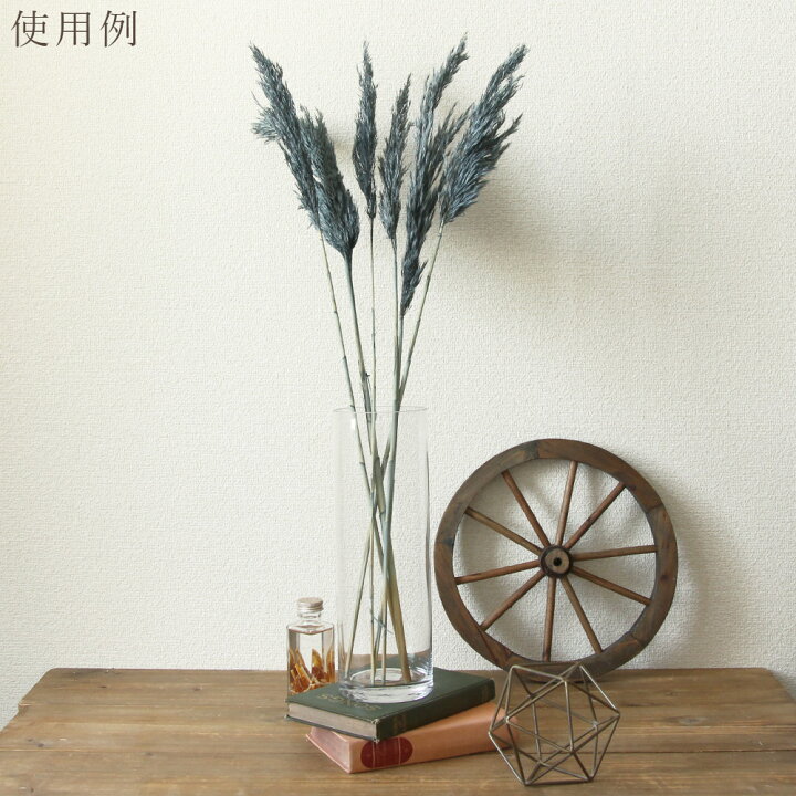 楽天市場】ドライフラワー 花材 即日出荷 【40％OFF】期間限定特価 
