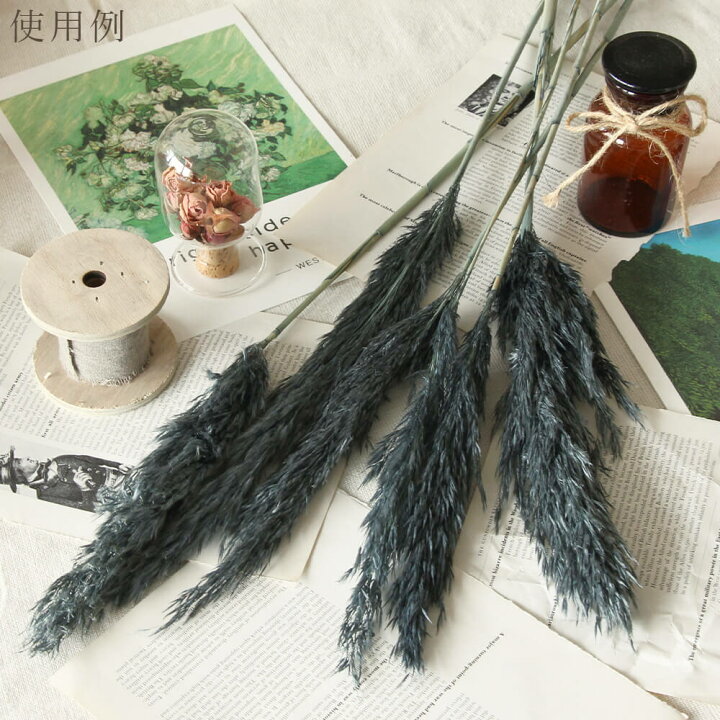 楽天市場】ドライフラワー 花材 即日出荷 【40％OFF】期間限定特価 