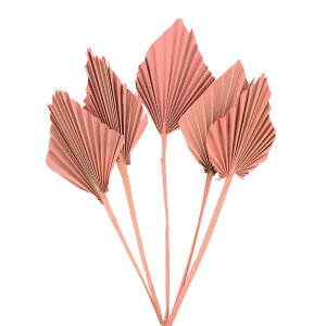 yP10{ z hCt[ ԍ o y40OFFz Ԍ p[Xy[h [usN ԍ f p[c sNx[W V̗t p[[t uC_ [X n_