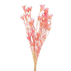 yP10{ z hCt[ ԍ o  jQIG^X (݌Ɍ) sN ԍ f ޗ p[c XbO u[P hCt[ԑ hCt[XbO f