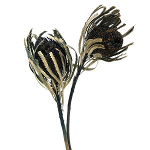 yP10{ z hCt[ ԍ o oNVA u[S[hbV oNV  S[h ԍ f p[c Cht[ uC_ XbO [X u[P f