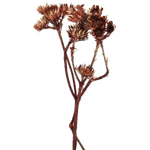 yP10{ z hCt[ ԍ o PCNX bhS[hbV  S[h  ԍ f p[c  uC_ XbO [X u[P ԑ AWg f