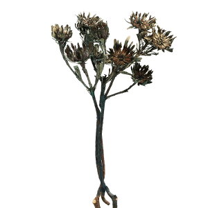 yP10{ z hCt[ ԍ o  PCNX (݌Ɍ) u[S[hbV  S[h  ԍ f p[c  uC_ XbO [X u[P ԑ f