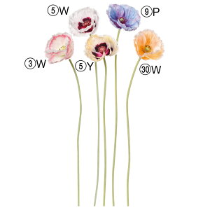 yP10{ 12/31܂ŁIz  Ƃ悹i |s[  zCg sN CG[ F IW Of[V Of[VJ[ u[   t tAW ԍ f AXJ ASCA AXJ