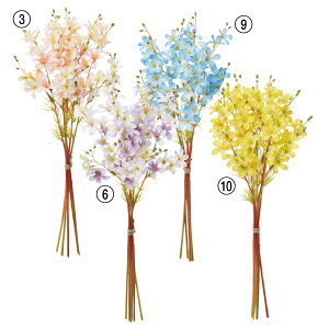 yP10{ 12/31܂ŁIz  Ƃ悹i bNXt[o`(16{) ԑ u[P bNXt[ CeA CeAt[ tFCNt[ VNt[ AXJ ASCA AXJ