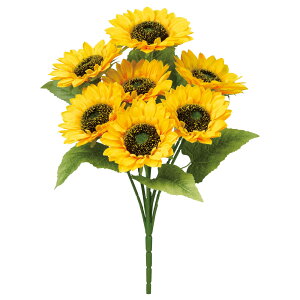 yP10{ 12/31܂ŁIz  Ƃ悹i Tt[ubV×6 q} Ђ܂  ԑ u[P 썑 gsJ CeA CeAt[ tFCNt[ AXJ ASCA AXJ