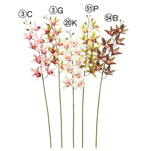 yP10{ 12/31܂ŁIz  Ƃ悹i VrW[×9 ڂ×4 CeA CeAt[ tFCNt[ VNt[ CeAO[ A[gt[ AXJ ASCA AXJ