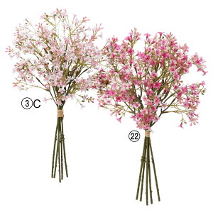 yP10{ }\z  Ƃ悹i ~jt[o`(15{) CeA CeAt[ tFCNt[ VNt[ CeAO[ A[gt[ AXJ ASCA 