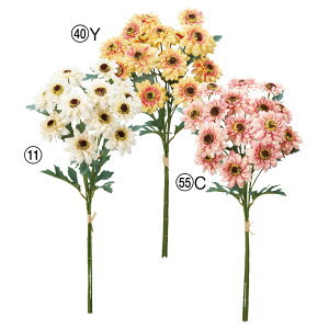  Ƃ悹i f[W[o`(13{) ԑ u[P fCW[ CeA CeAt[ tFCNt[ VNt[ tFCNO[ AXJ ASCA AXJ