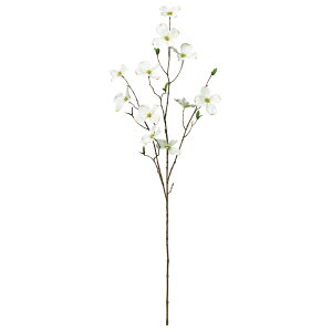 yP10{ 12/31܂ŁIz  Ƃ悹i hbOEbh×11 ni~YL Ԑ CeA CeAt[ tFCNt[ VNt[ CeAO[ ԍ t AXJ ASCA AXJ