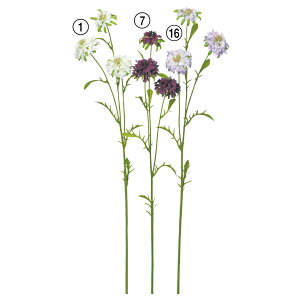 yP10{ 12/31܂ŁIz  Ƃ悹i XJrIT×3 CeA CeAt[ tFCNt[ VNt[ CeAO[ tFCNO[ ԍ Ԏ AXJ ASCA AXJ