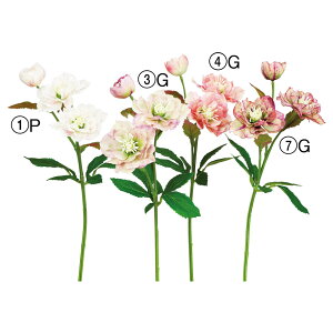 yP10{ 12/31܂ŁIz  Ƃ悹i NX}X[Y×3 A[eBtBVt[ w{X jQ CeA CeAt[ tFCNt[ ԍ Ԏ AXJ ASCA AXJ