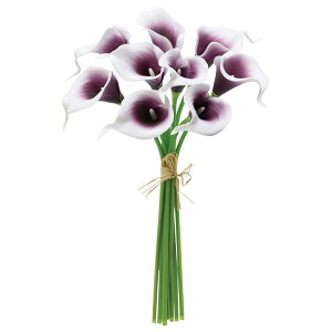 yP10{ 12/31܂ŁIz  Ƃ悹i J[Bo`(19{) ԑ u[P J[ A[eBtBVt[  CeA CeAt[ VNt[ AXJ ASCA AXJ