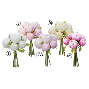 yP10{ z  Ƃ悹i sIj[u[P {^ O VNN 䉖 CeA CeAt[ tFCNt[ VNt[ CeAO[ AXJ ASCA AXJ