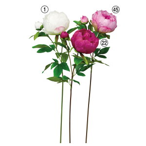 yP10{ z  Ƃ悹i sIj[×1 ڂ×1 {^ O VNN 䉖 CeA CeAt[ tFCNt[ VNt[ ԍ Ԏ AXJ ASCA AXJ