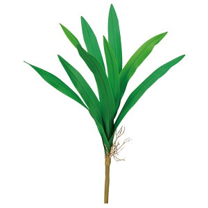 yP10{ 12/31܂ŁIz  O[ Ƃ悹i I[Lbh[t CeA tFCN O[ p[c CeAt[ tFCNt[ VNt[ ԍ f AXJ ASCA AXJ