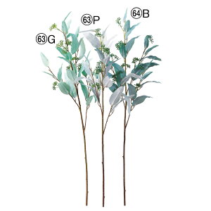  O[ Ƃ悹i [J CeA tFCN O[ p[c CeAt[ tFCNt[ VNt[ CeAO[ AXJ ASCA AXJ