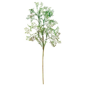  O[ Ƃ悹i Ae~VA CeA tFCN O[ p[c CeAt[ tFCNt[ VNt[ A[gt[ AXJ ASCA AXJ