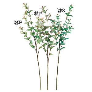  O[ Ƃ悹i [tXv[ CeA tFCN O[ p[c CeAt[ tFCNt[ VNt[ ԍ Ԏ AXJ ASCA AXJ