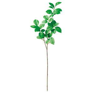 yP10{ 12/31܂ŁIz  O[ Ƃ悹i [tXv[ CeA tFCN O[ p[c CeAt[ tFCNt[ VNt[ ԍ Ԏ AXJ ASCA AXJ