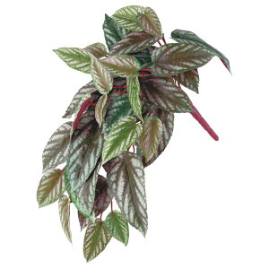  O[ Ƃ悹i ZCVJY CeA tFCN O[ p[c CeAt[ tFCNt[ VNt[ A[gt[ AXJ ASCA AXJ