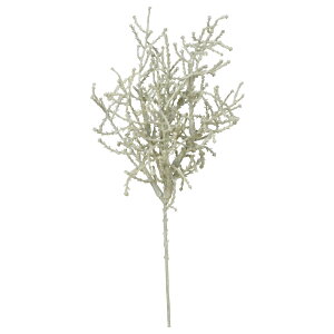  O[ Ƃ悹i TgisbN CeA tFCN O[ p[c CeAt[ tFCNt[ VNt[ ԍ f AXJ ASCA AXJ