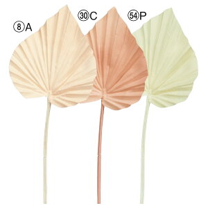 yP10{ 12/31܂ŁIz  O[ Ƃ悹i p[[t CeA tFCN O[ p[c CeAt[ tFCNt[ VNt[ A[gt[ AXJ ASCA AXJ