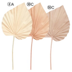 yP10{ 12/31܂ŁIz  O[ Ƃ悹i p[[t CeA tFCN O[ p[c CeAt[ tFCNt[ VNt[ A[gt[ AXJ ASCA AXJ