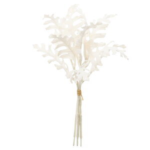  O[ Ƃ悹i _XeB~[o`(13{) CeA tFCN O[ p[c CeAt[ tFCNt[ ԍ Ԏ AXJ ASCA AXJ