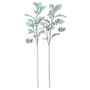 yP10{ 12/31܂ŁIz  O[ Ƃ悹i _XeB~[ O[ [t t tXg  CeA tFCN p[c CeAt[ tFCNt[ ԍ AXJ ASCA AXJ