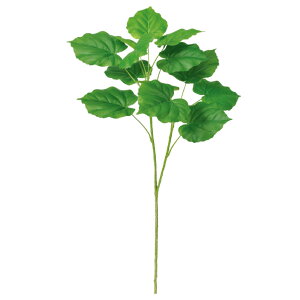  O[ Ƃ悹i Ex[^ CeA tFCN O[ p[c CeAt[ tFCNt[ VNt[ A[gt[ AXJ ASCA AXJ