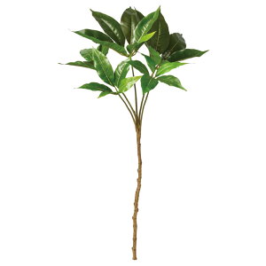  O[ Ƃ悹i cs^TX CeA tFCN O[ p[c CeAt[ tFCNt[ VNt[ A[gt[ AXJ ASCA AXJ